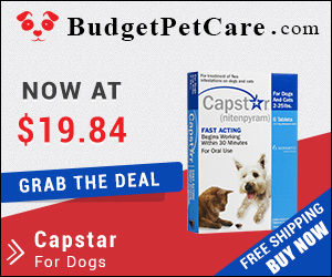 Capstar is an oral tablet to control adult fleas on dogs within half an hour of administration and kills 100% adult fleas within 7 hours. Buy now for Extra 5% Discount and Free Shipping across USA. Use coupon: BPC5OFF to avail instant discount.