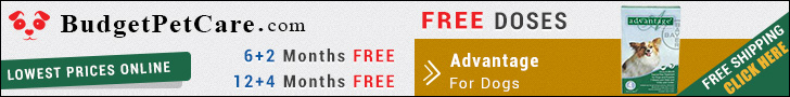 Advantage is a monthly topical treatment for killing and controlling fleas. Buy Now to Get Extra 5% Discount and Free Shipping across USA. Also Avail 4 Free Doses of Advantage with 12 Pack & 2 Free Doses with 6 Doses Pack.
