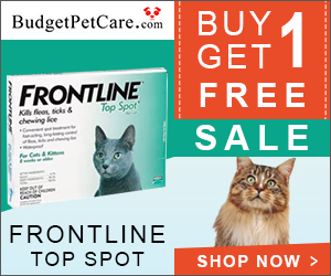 A monthly spot-on treatment for 8 weeks and older kittens and cats, Frontline Top Spot is an effective solution for fleas, ticks and chewing lice.