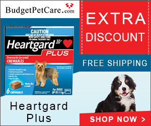 Heartgard Plus is a heartworm preventive treatment that also controls and treats various other worm infections. It also treats hookworms and roundworms.
