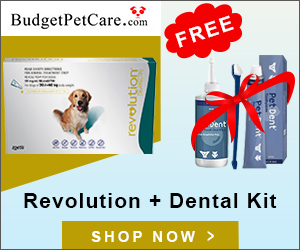 Buy 12 Doses of Revolution and Get Pet Dent Dental Kit Worth $20 Free. Revolution is a multi parasitic preventative, which kills fleas, flea eggs, flea larvae, eliminates gastrointestinal worms and prevent heartworms.