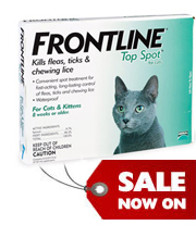  - frontline_top_spot_cat