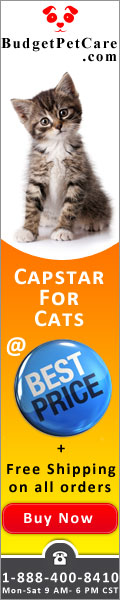 Capstar for cats is an oral tablet which provides rapid relief from fleas in pets