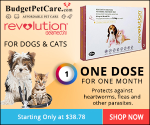 Buy Revolution Online: Heartworm & Flea Prevention for Dogs at 5% Extra OFF + Free Shipping