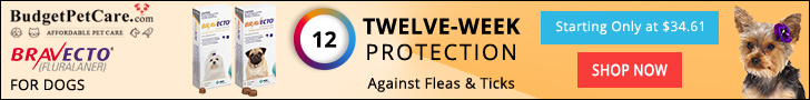Budget PetCare Bravecto Chewable Oral Flea & Tick Treatment for Dogs Online at 5% Extra OFF & Free Shipping