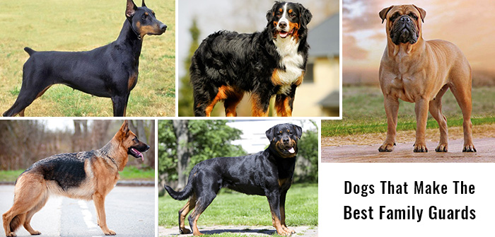 best guard dog breeds for families with children