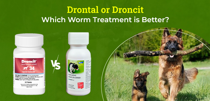 Image representing two meds for dogs: Drontal Puppy Worming Suspension Or Droncit Tapewormer, Which Worm Treatment is Better? 