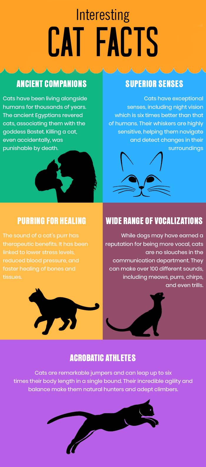 BPC Infographic National Cat Lovers Month 
