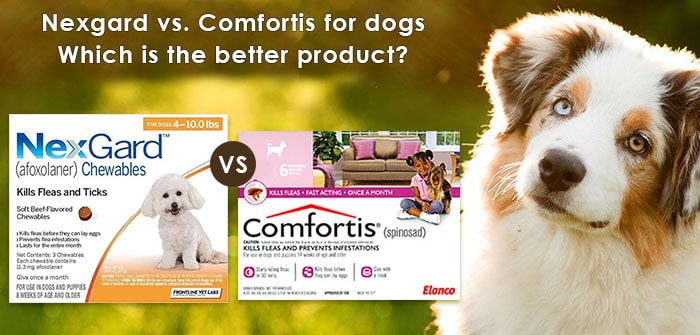 nexgard-vs-comfortis-for-dogs-find-the-major-difference