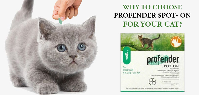 Why Do You Recommend Profender Spot On For Cats