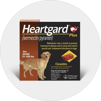 Buy Heartgard Plus for Dogs | Free Shipping - BudgetPetcare