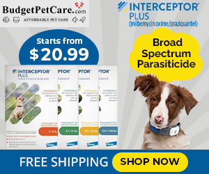 Buy Interceptor Plus for Dogs at Lowest Price Today. Use Coupon: SAVE15 for 15% Extra Off & Free Shipping.