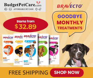 Say Goodbye to Monthly Treatments with Cheapest Bravecto Online. Get 15% Off Your Order + Free Shipping Today. Use Coupon: SAVE15