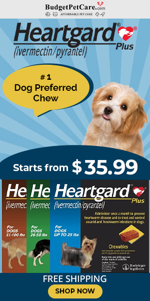 Heartgard Plus is #1 Dog-Preferred Chewable for Heartworm Treatment. Use Coupon: SAVE15 for 15% Off Your Order & Free Shipping!