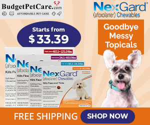 Nexgard Chews That Dogs Love! Starts only at $33 + 15% Extra Off Your Order & Free Shipping. Use Coupon: SAVE15