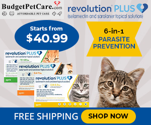 Buy Revolution Plus Flea Tick & Heartworm Treatment For Cats Online at 15% Extra Discount & Free Shipping Today. Use Code: SAVE15