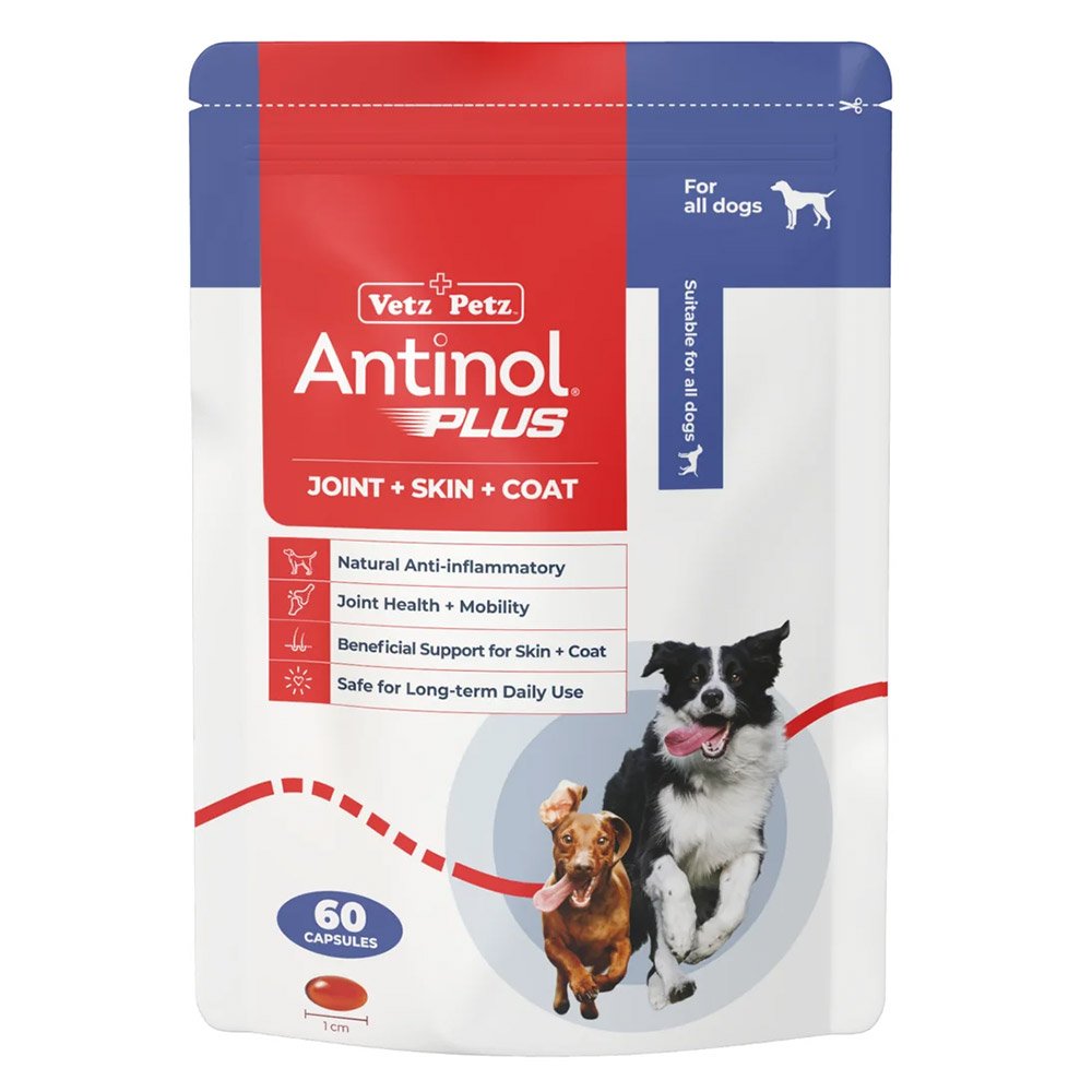 Buy Antinol Plus Capsules For Dogs at Lowest Price