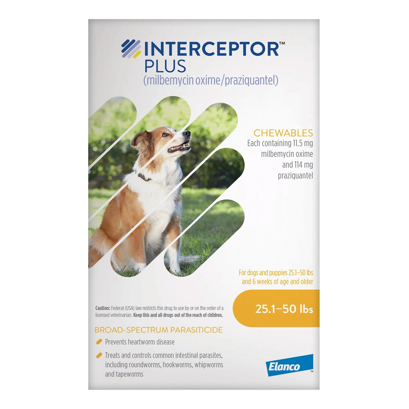 buy-interceptor-plus-chew-interceptor-spectrum-for-dogs-25-1-50lbs
