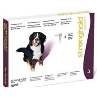 

Stronghold Dogs 40.1 - 60.0 Kg 360 Mg Maroon 3 Months