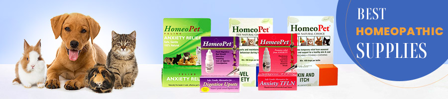 natural pet supplements