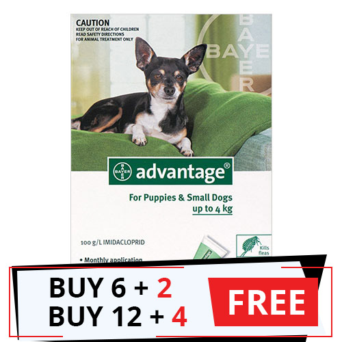 Cheapest place to 2025 buy advantage for dogs