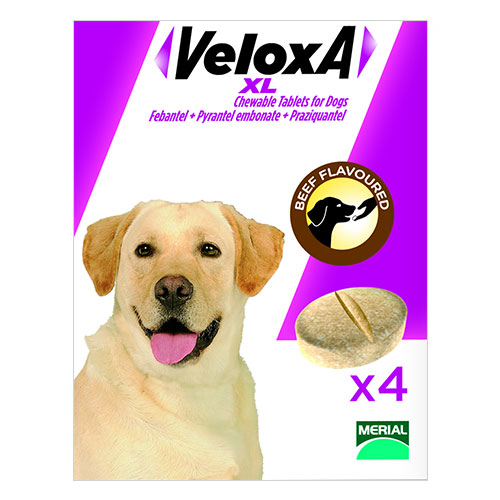 Veloxa Xl Chewable Tablets For Dogs 2 Pack