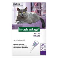 Advantage Cats Over 9lbs (purple) 12 + 4 Free