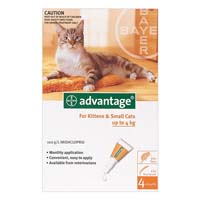 Advantage Kittens & Small Cats 1-9lbs 12 + 4 Free