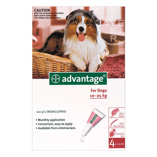 Advantage Large Dogs 21-55lbs (red) 4 Months