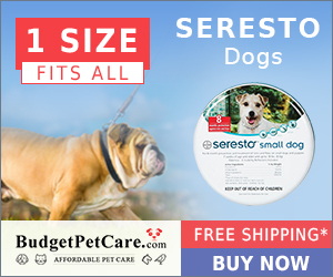 Prices Drop! BudgetPetCare.com is offering Cheap Seresto Flea Collar & 12% Extra OFF✓Free Shipping on all Orders ✓10% Cashback  ✓Use Coupon Code: BIGDEAL