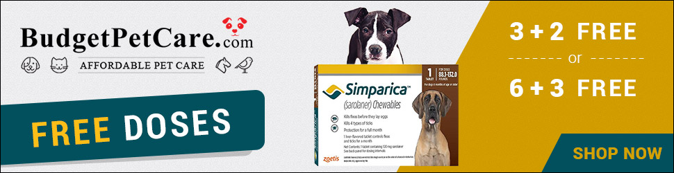 Biggest Deal of the Year! Get Free Chews of Simparica Dogs + 15% Extra Discount & Free Shipping on All Orders! Shop Now, Limited Time Only! Use Code: BSIMPC15